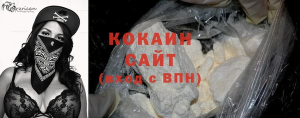 стафф Козловка