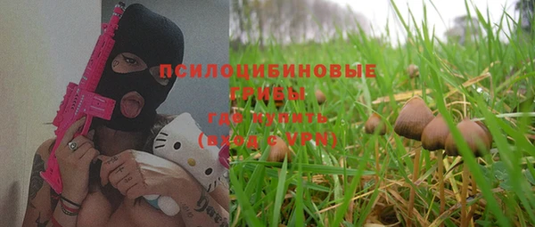 стафф Козловка