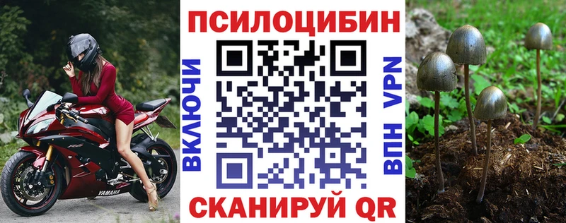 Псилоцибиновые грибы MAGIC MUSHROOMS Купить Бронницы